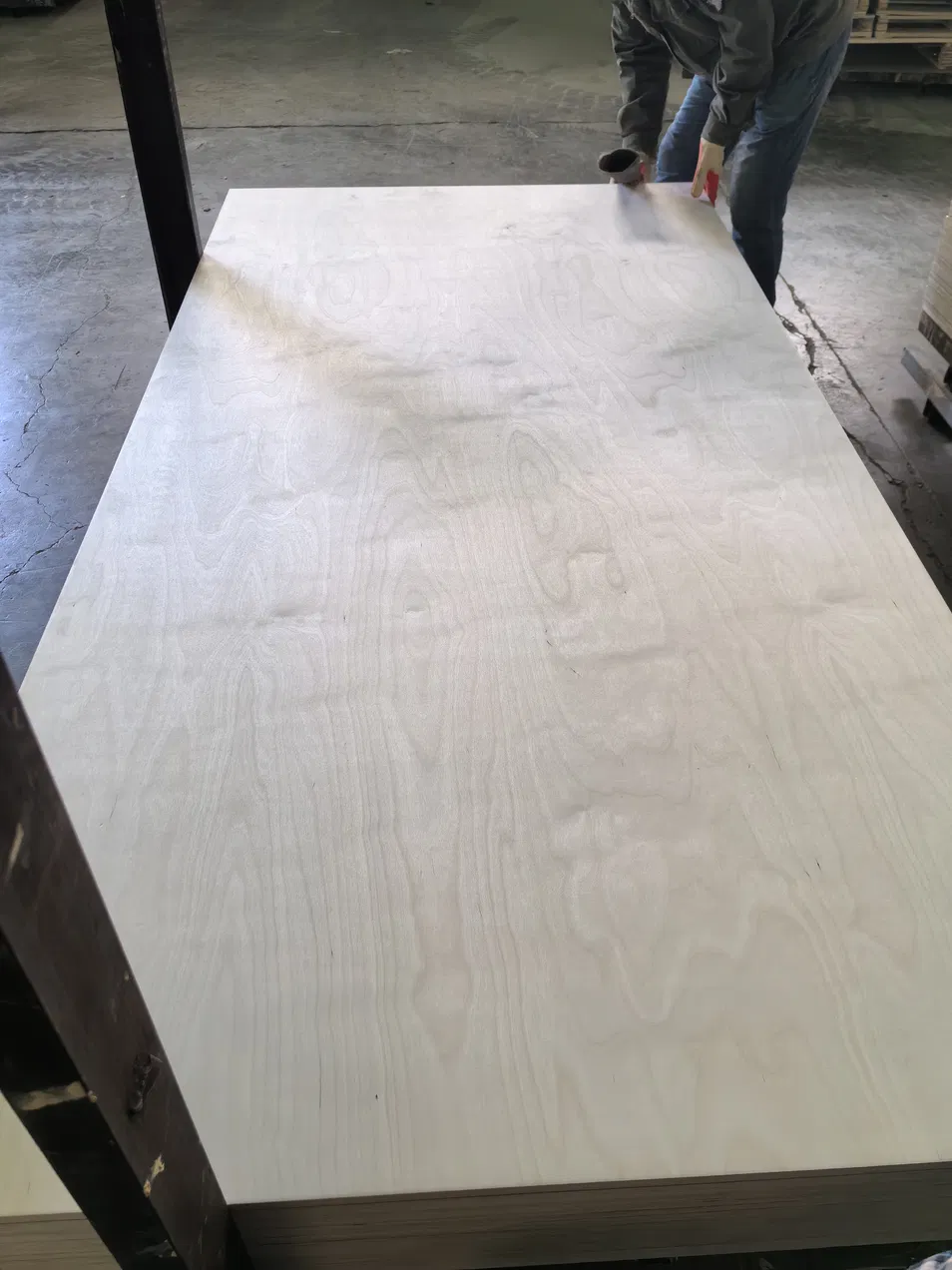 Laser Cutting Plywood Display