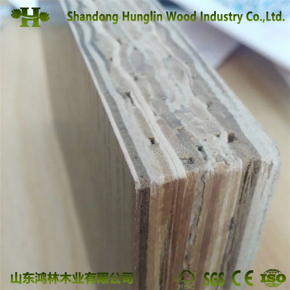 Eco-Friendly Bamboo Marine Plywood/Container Plywood