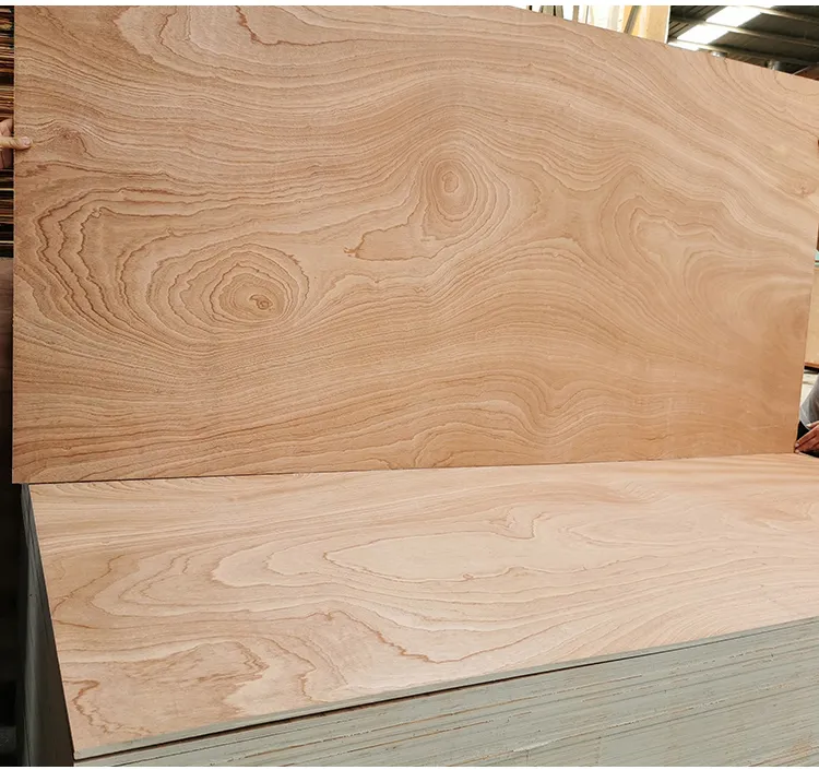Sapele Plywood