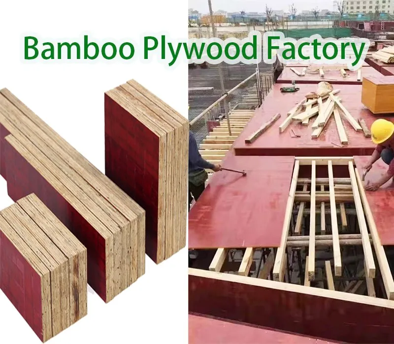 Bamboo Plywood Construction