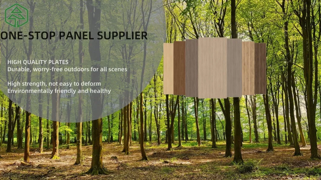 Birch Plywood Overview