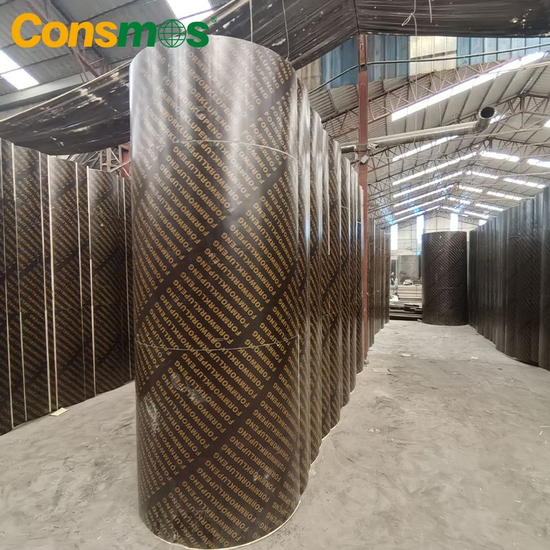 Flexible Circular Column Formwork System Laminated Cylindrical Film Faced Plywood for Construction