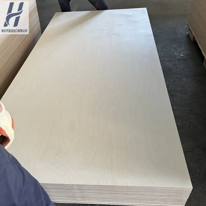 Birch Plywood Detail 5