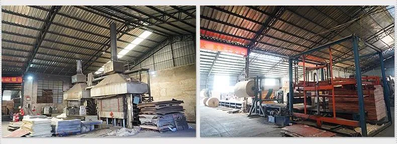 Film Faced Plywood 5