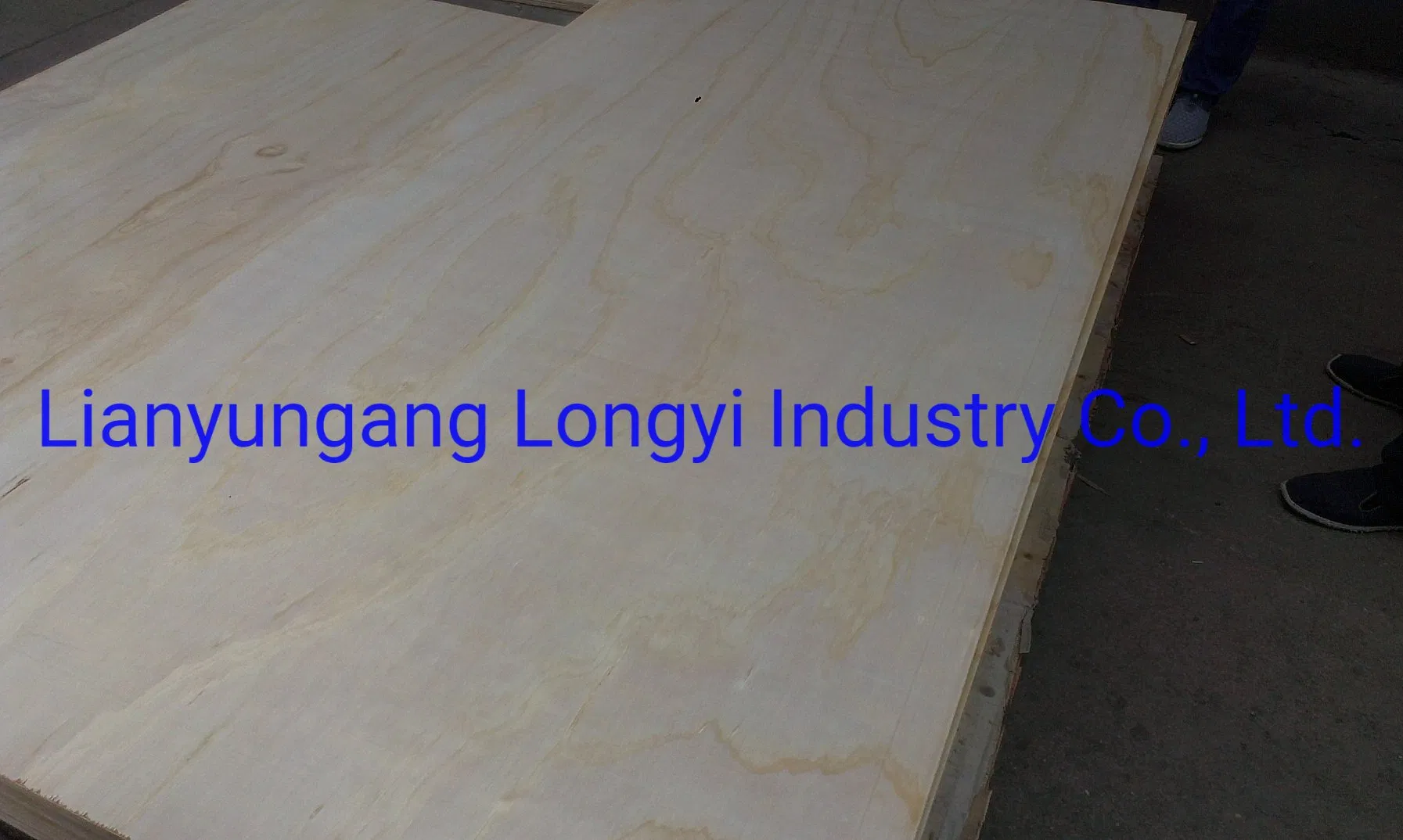 Radiata Pine Plywood for Construction