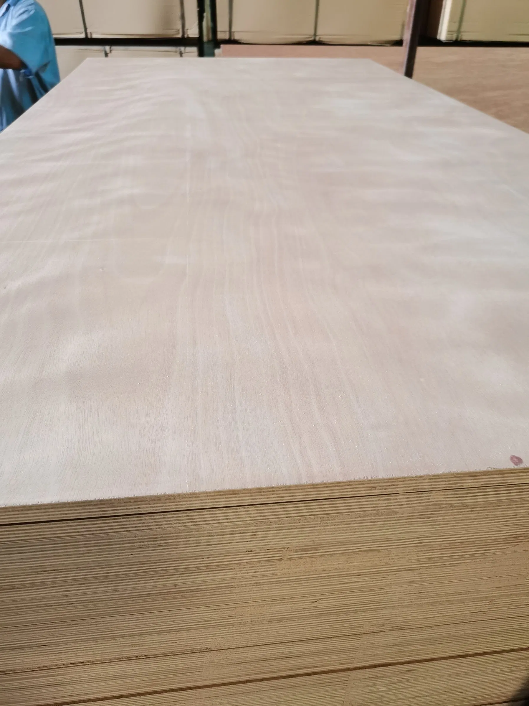 Factory 9mm/18mm/25mm Furniture Grade Poplar-Core Laminated Wood Timber Bintangor/Birch/Sapele/Okoume Veneer Commercial Plywood Board