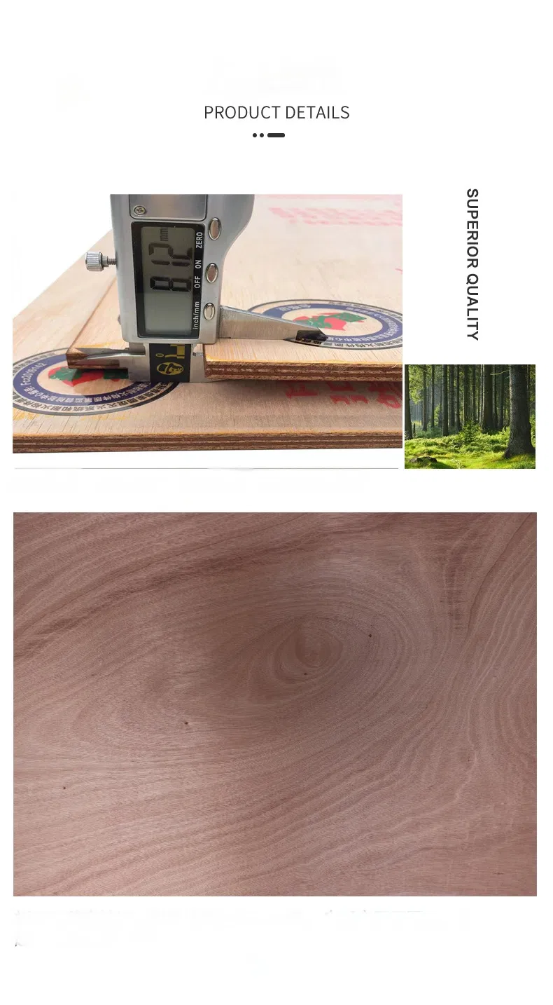 Plywood Dimension View 1