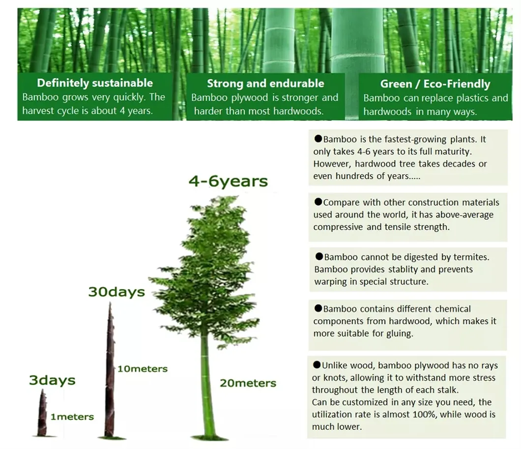 Benefits of Bamboo