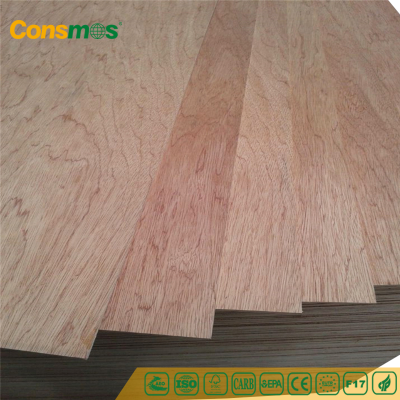 High Quality 12mm 15mm 18mm Waterproof Furniture Grade Sapele Bintangor EV Poplar Birch Veneer Hardwood Commercial Plywood Boards