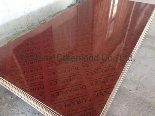 Bamboo Shuttering Plywood 3