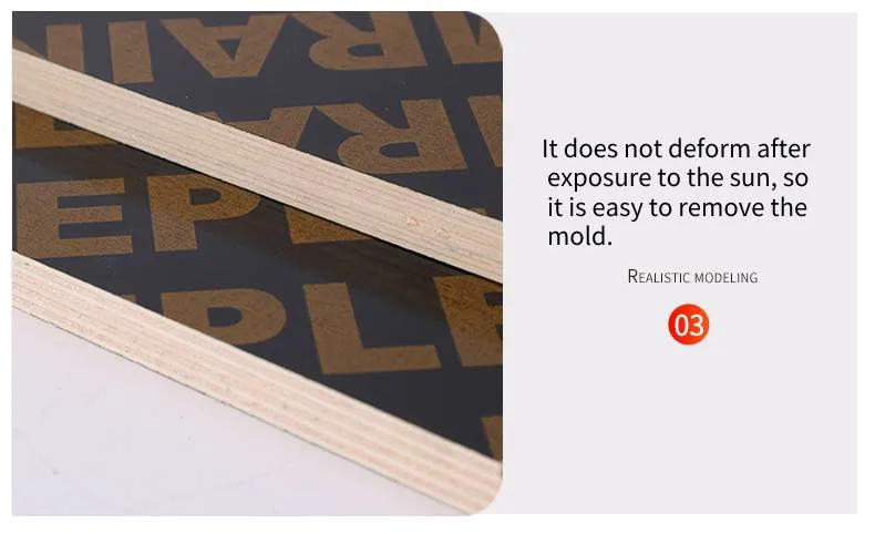 Film Faced Plywood 13