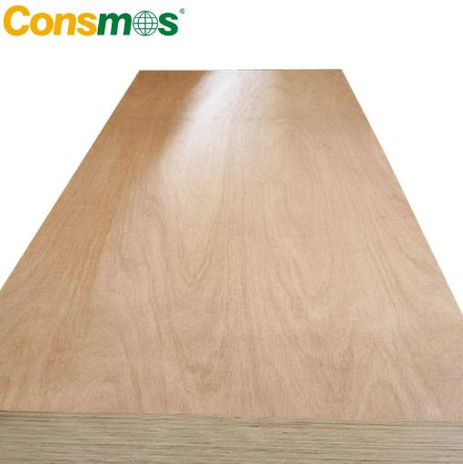 Chinese Manufacturer of Eco-Friendly Furniture Grade 12mm/18mm Poplar Core Melamine Laminated Plywood