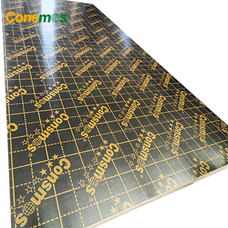 1250X2500mm 12mm 18mm Marine Plywood Film Faced Plywood for Construction