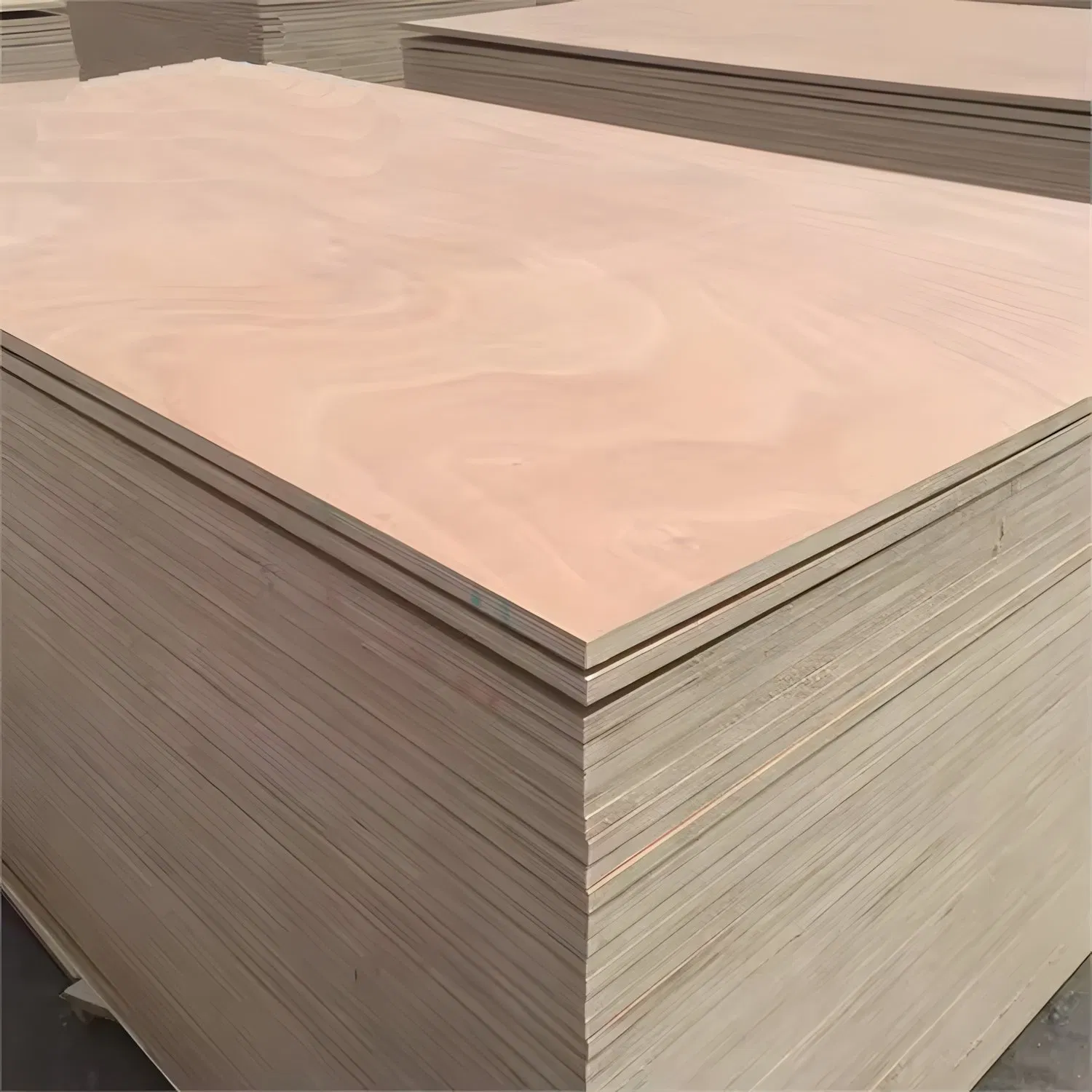 Wholesale 12mm 15mm 18mm Eucalyptus Core Birch Plywood Commercial for Furniture