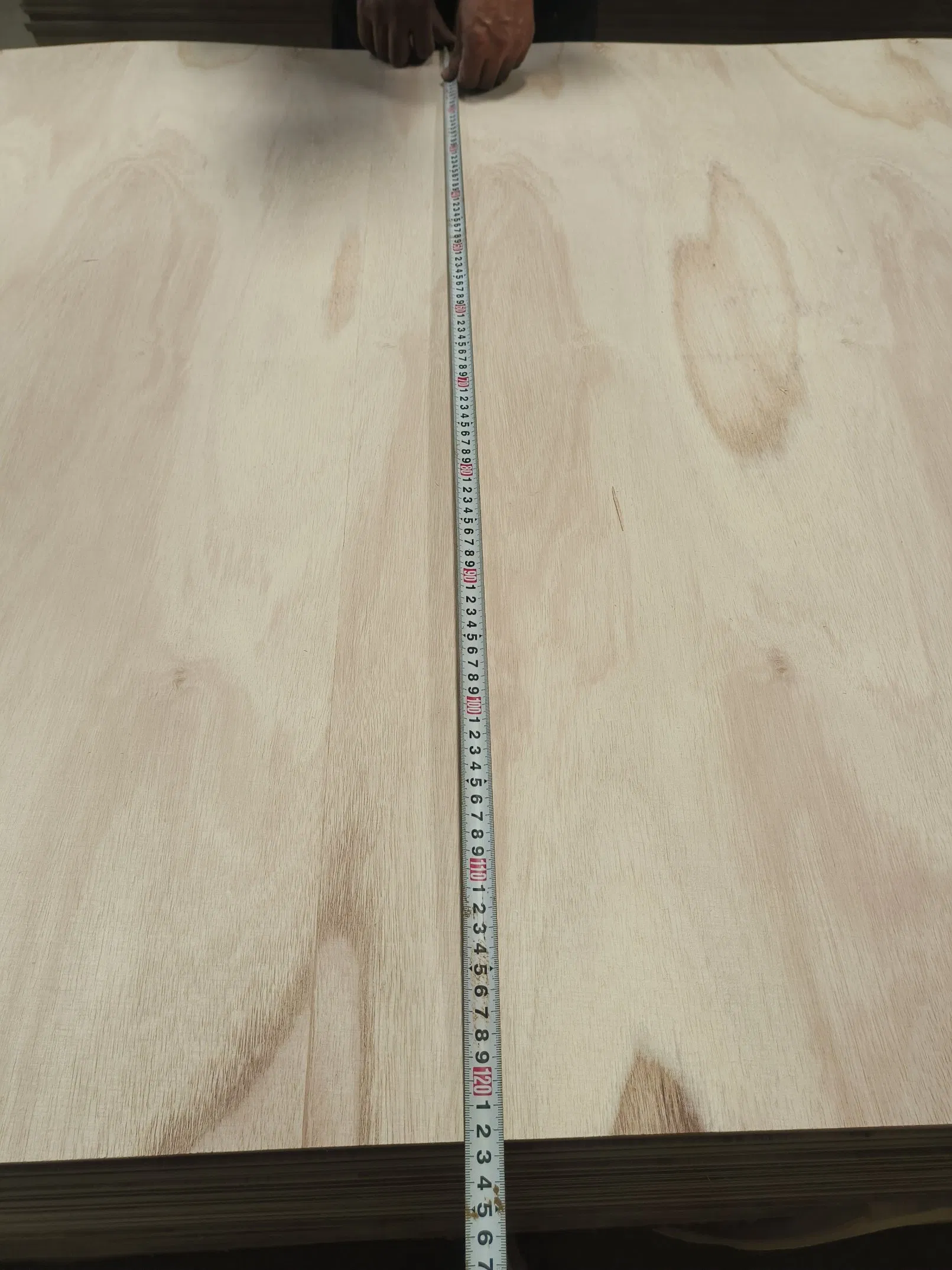 Full Paulownia Flexible Plywood Malaysia India Bent Plywood for Sale