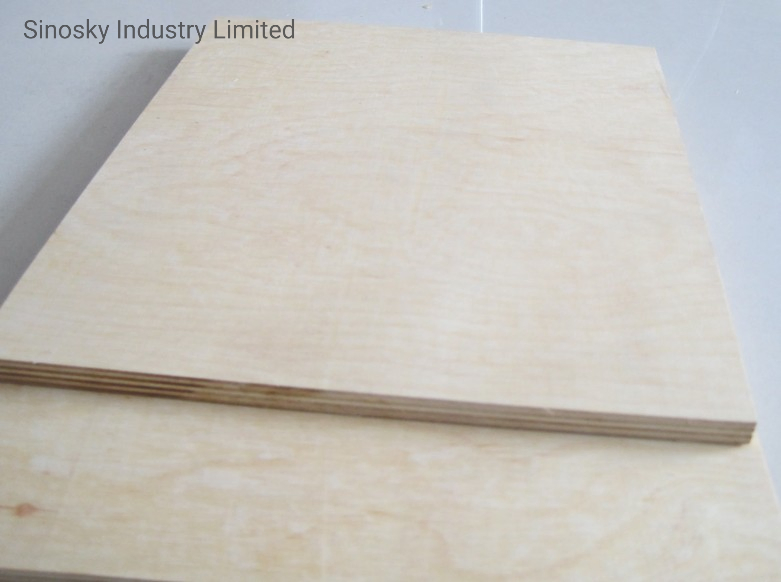 18mm Birch Plywood, Film Faced Plywood, Plywood, Hardwood Plywood, Birch Plywood, LVL Plywood, LVL Scaffolding Plank, Structural LVL, CE/F Sc/Carb
