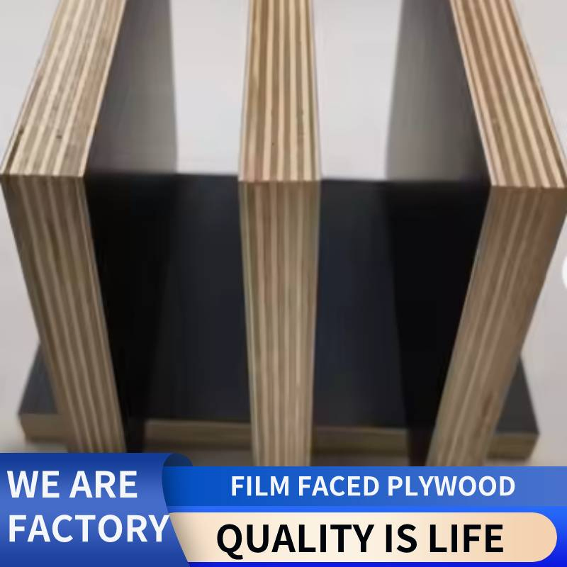 Arser Wood Yafei-Plex Commercial Plywood 12mm/15mm/18mm Plywood Film Faced Plywood