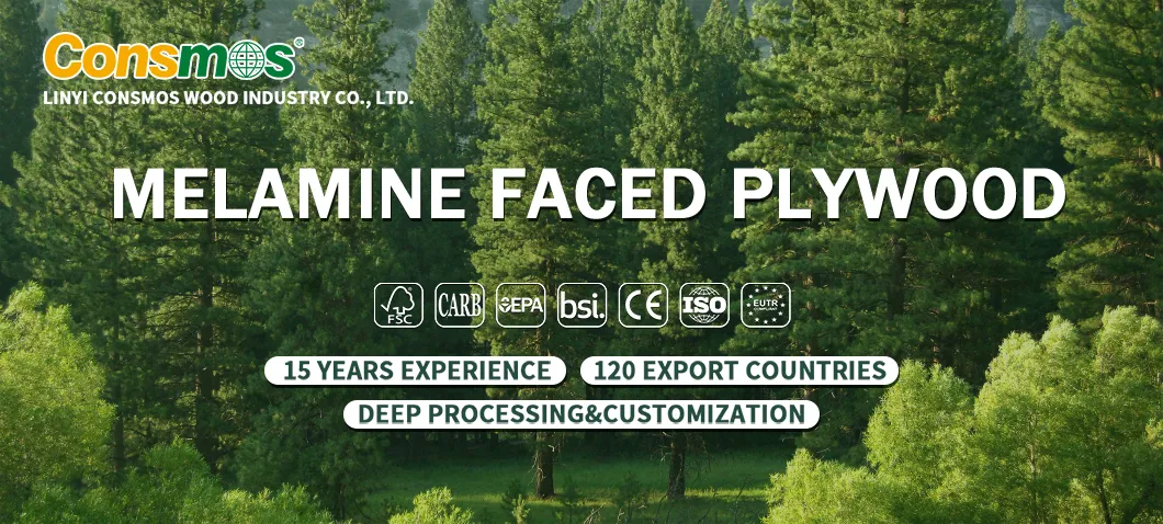 Melamine Laminated Plywood