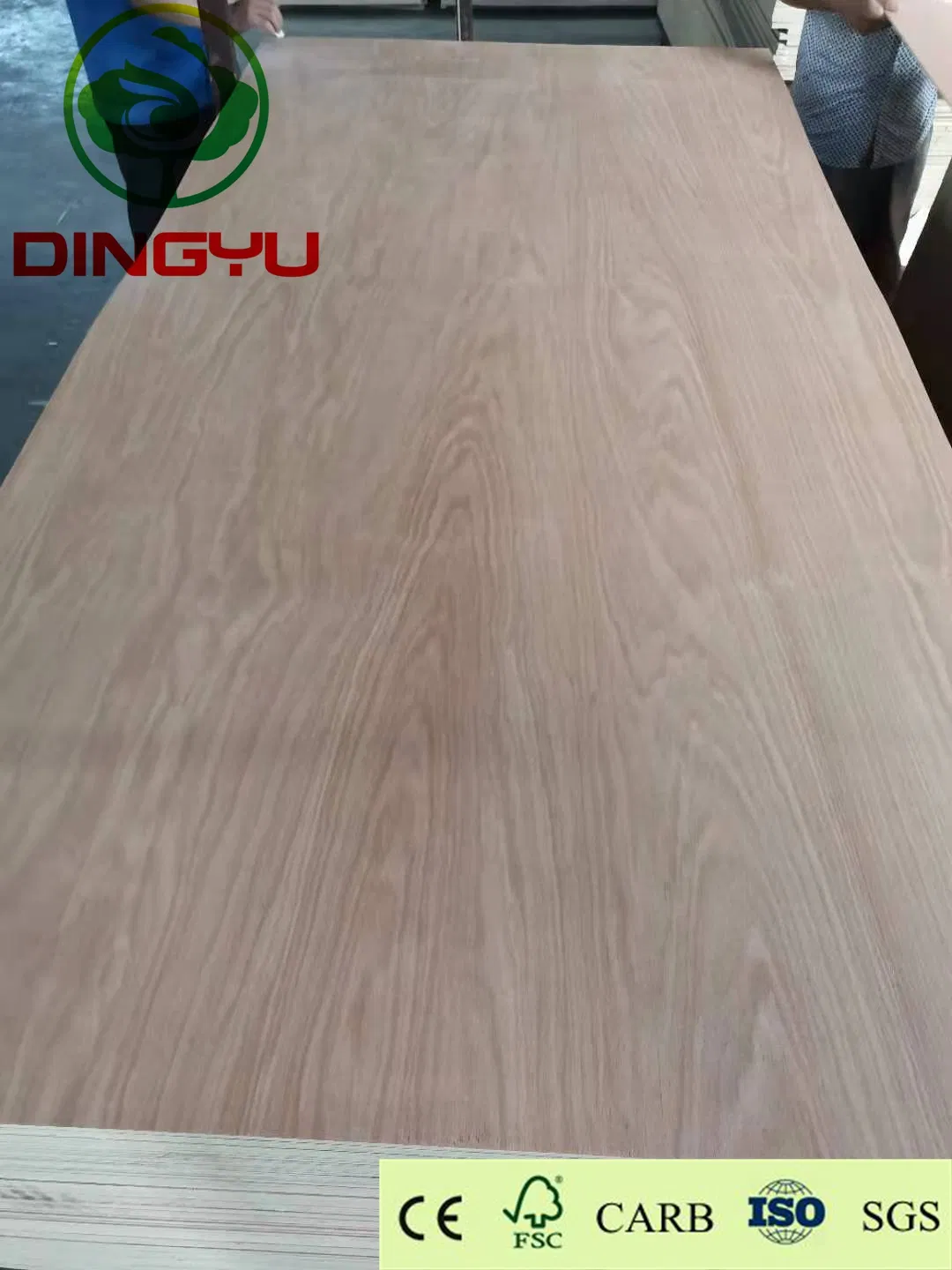 High Quality Okoume/Bintangor/Pencil Cedar/Poplar/Birch/Pine Faced Plywood Used for Furniture