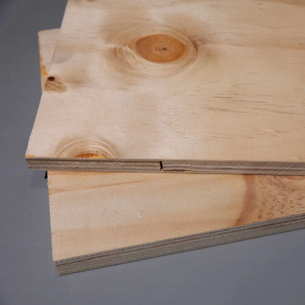 CDX Plywood Detail 1