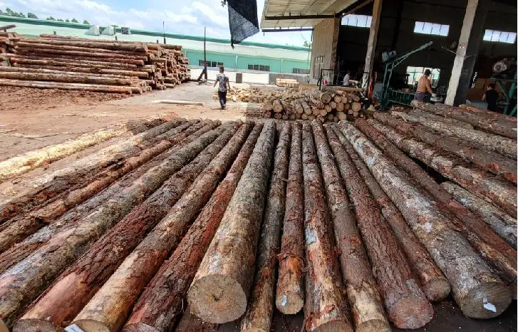 Automatic Log Peeling