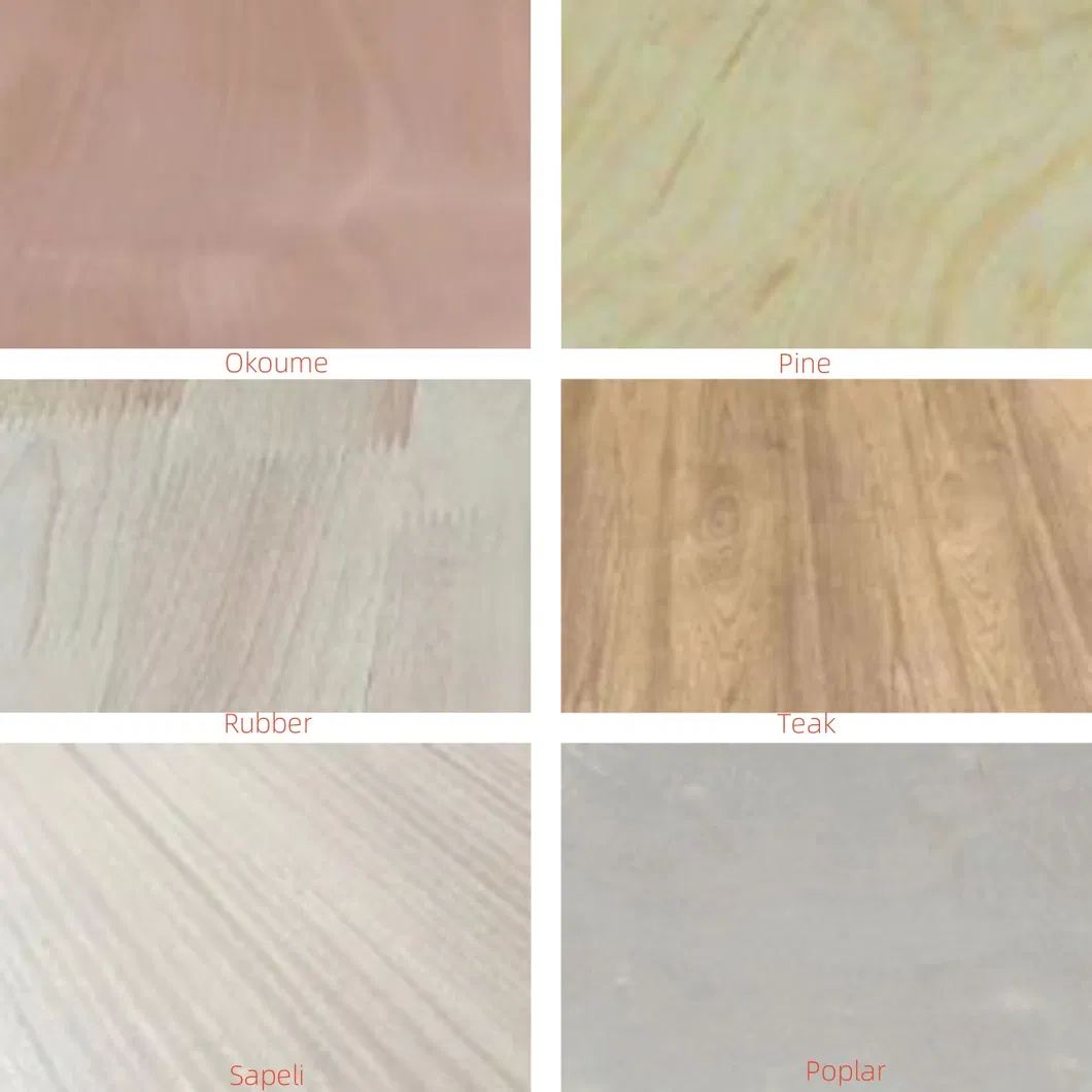 Face and Back Detail