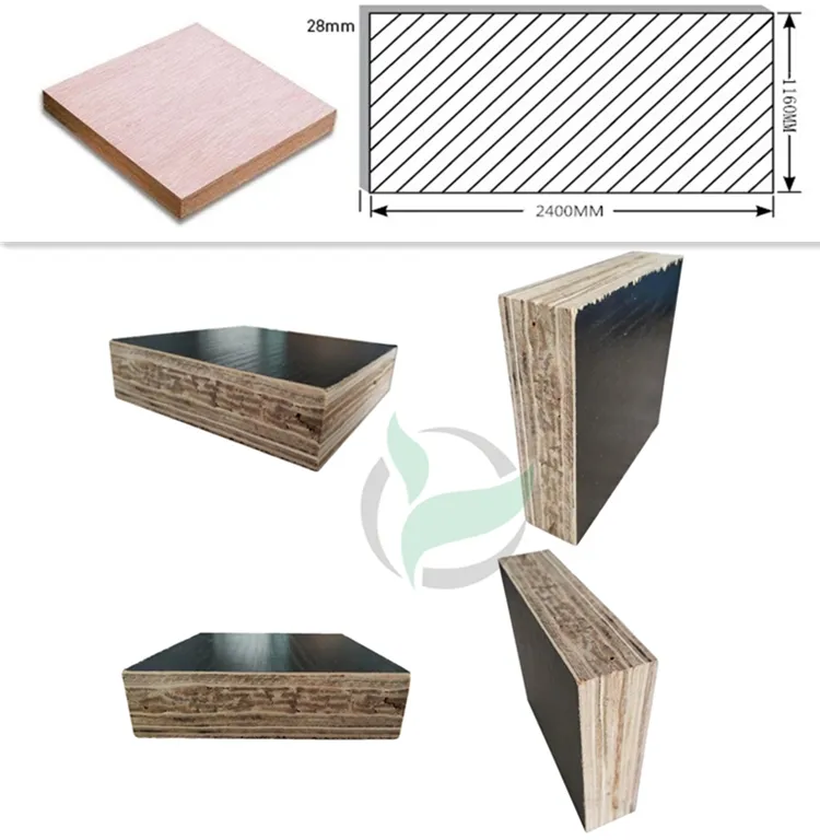 Specification Detail