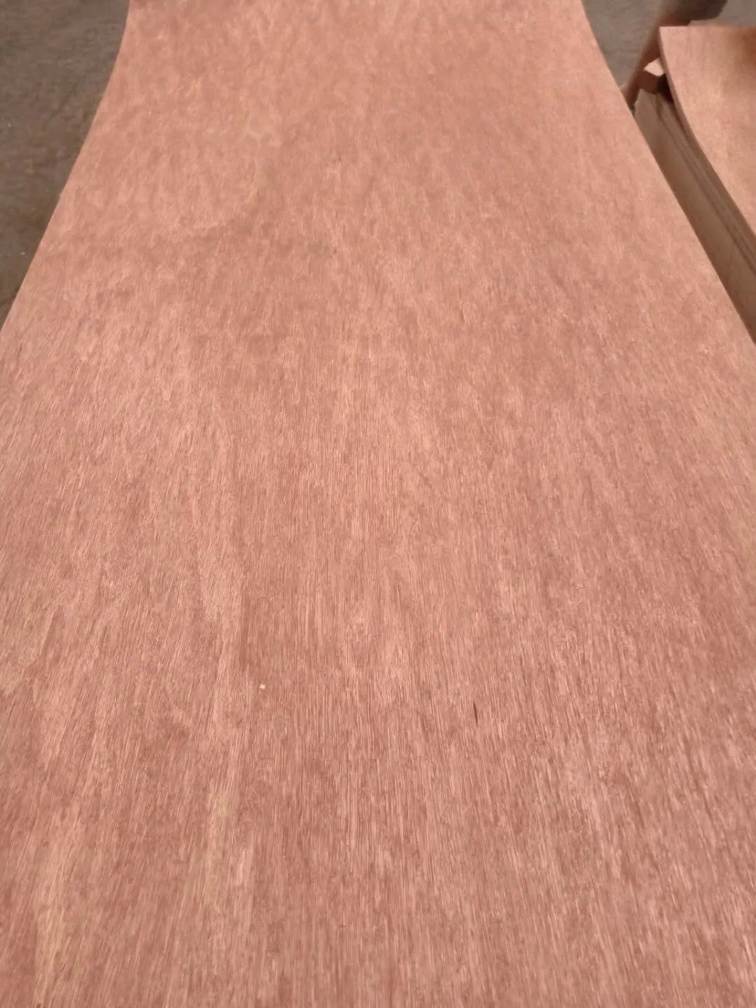 Furniture-Grade Double Hot Pressing Okoume/ Bintangor Plywood