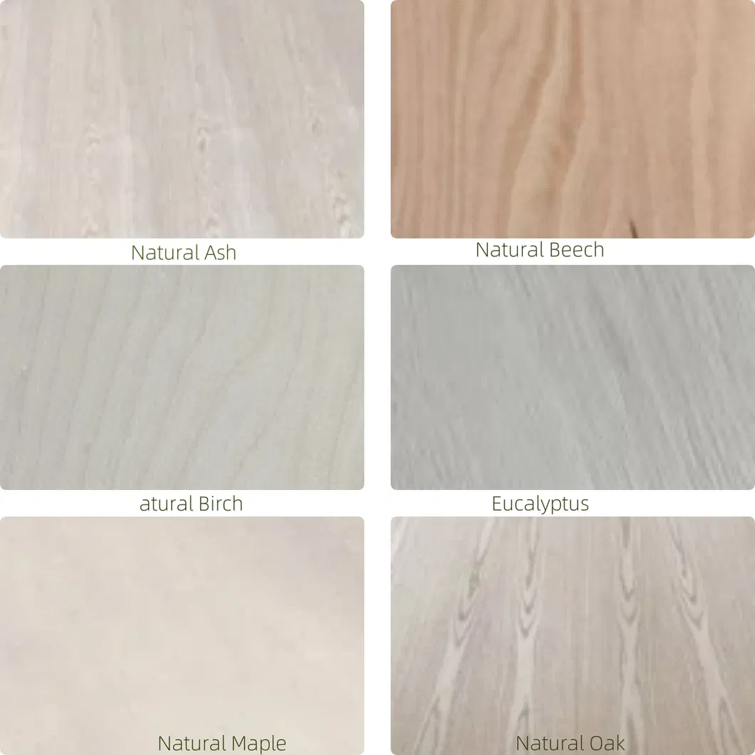 Face and Back Detail