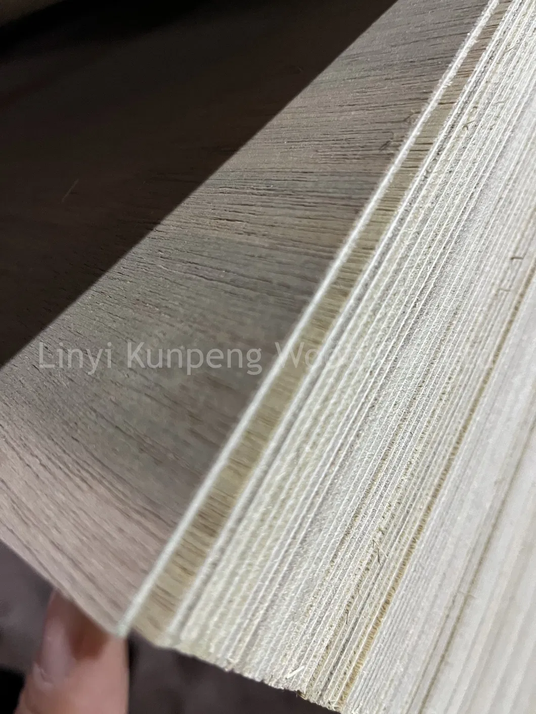 Bendable Plywood Detail 3