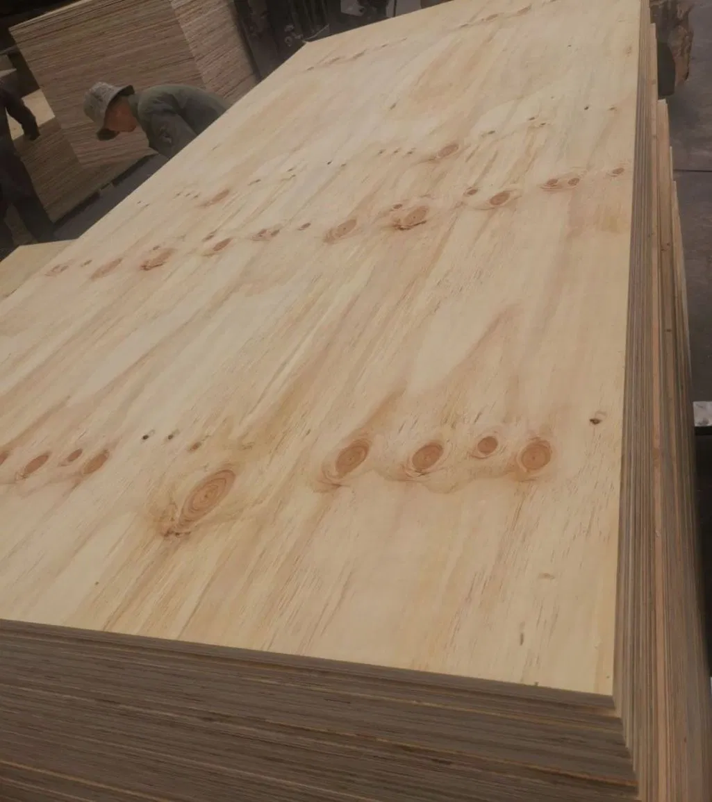 Pine Plywood Details