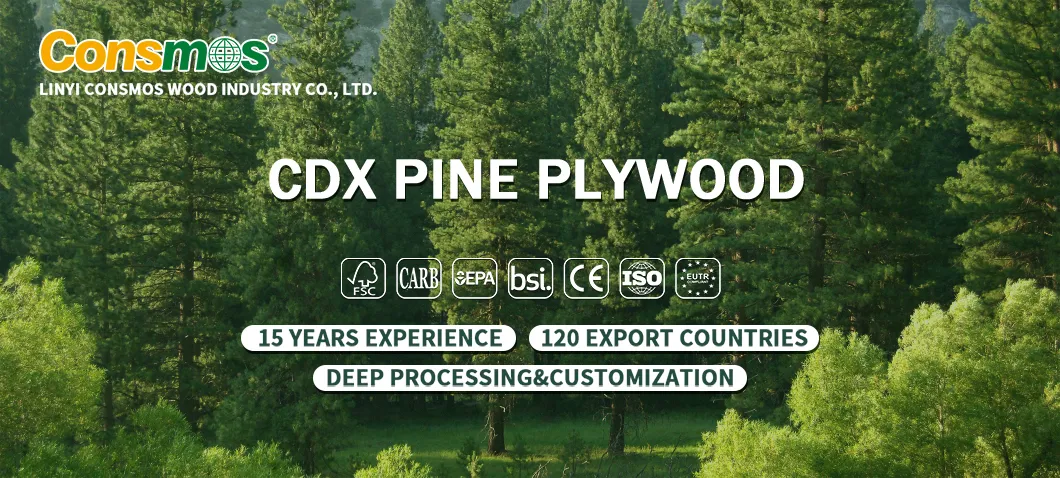 Construction Grade Structural Pine Plywood