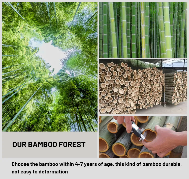 Sandwich Solid Bamboo Panel