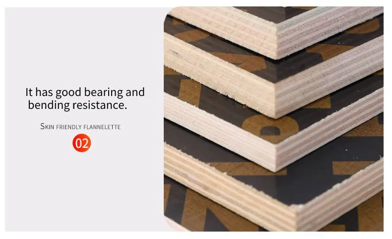 Film Faced Plywood 12