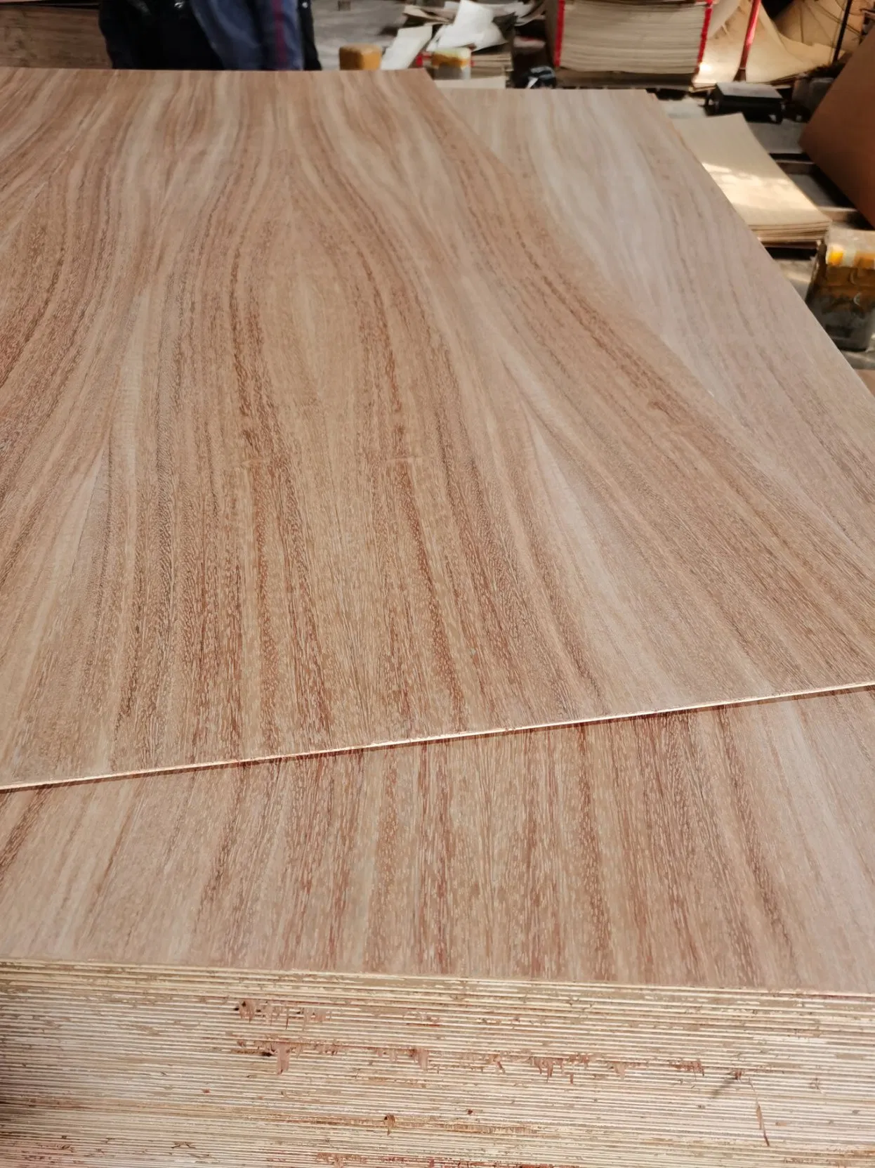 Natural Red Oak/Parota/Tzalam and Walnut Veneer Fancy Plywood with Furniture Grade 4.2mm in Mexico