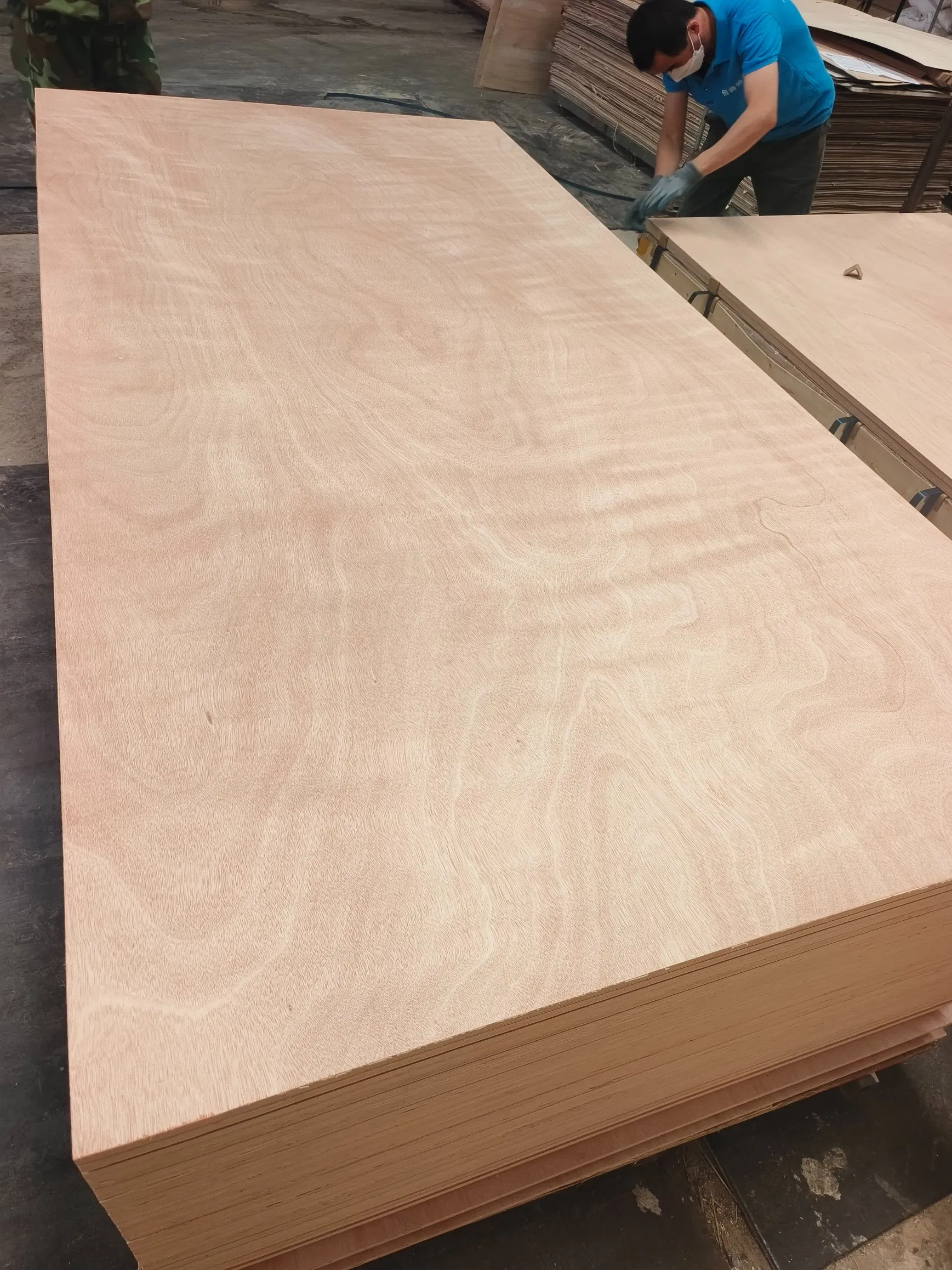 Curved Furniture Material Curved Plywood / Flexible Plywood