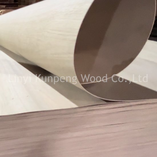 Low Price Bendable Plywood Flexible Bending Plywood