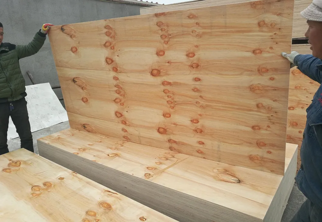 Pine CDX Plywood Details