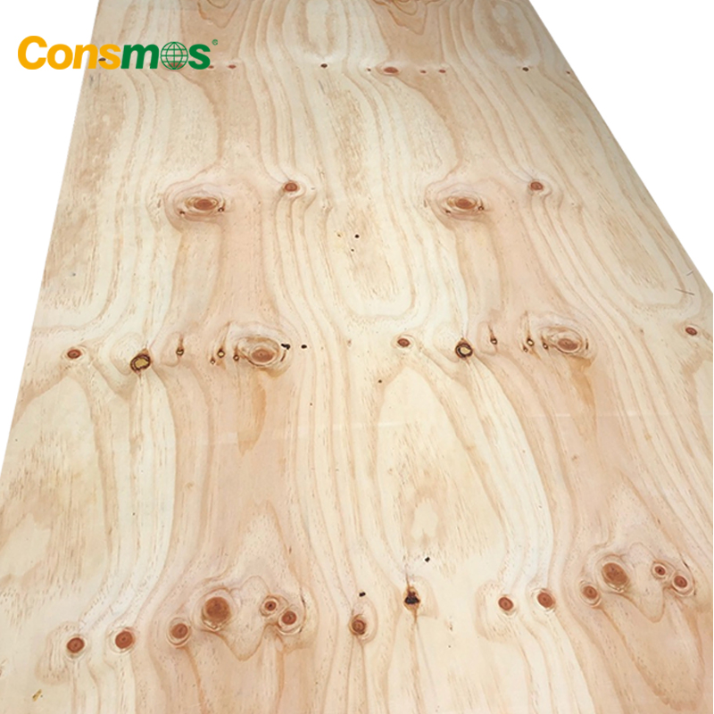 Consmos 4X8 5/8 Inch Poplar Core CDX Pine Structural Plywood Sheet Price