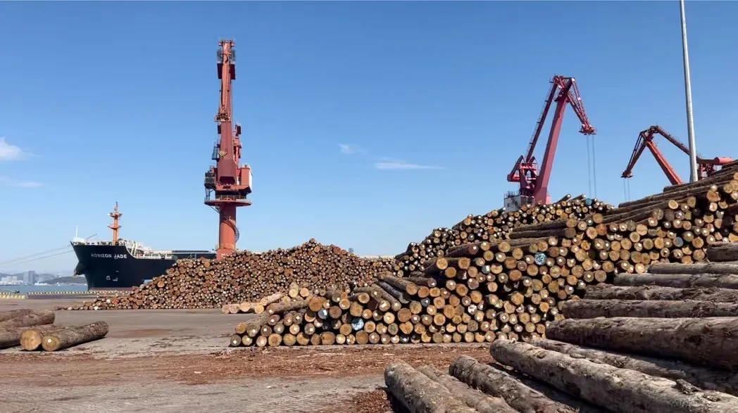 Production Process Wood Sourcing