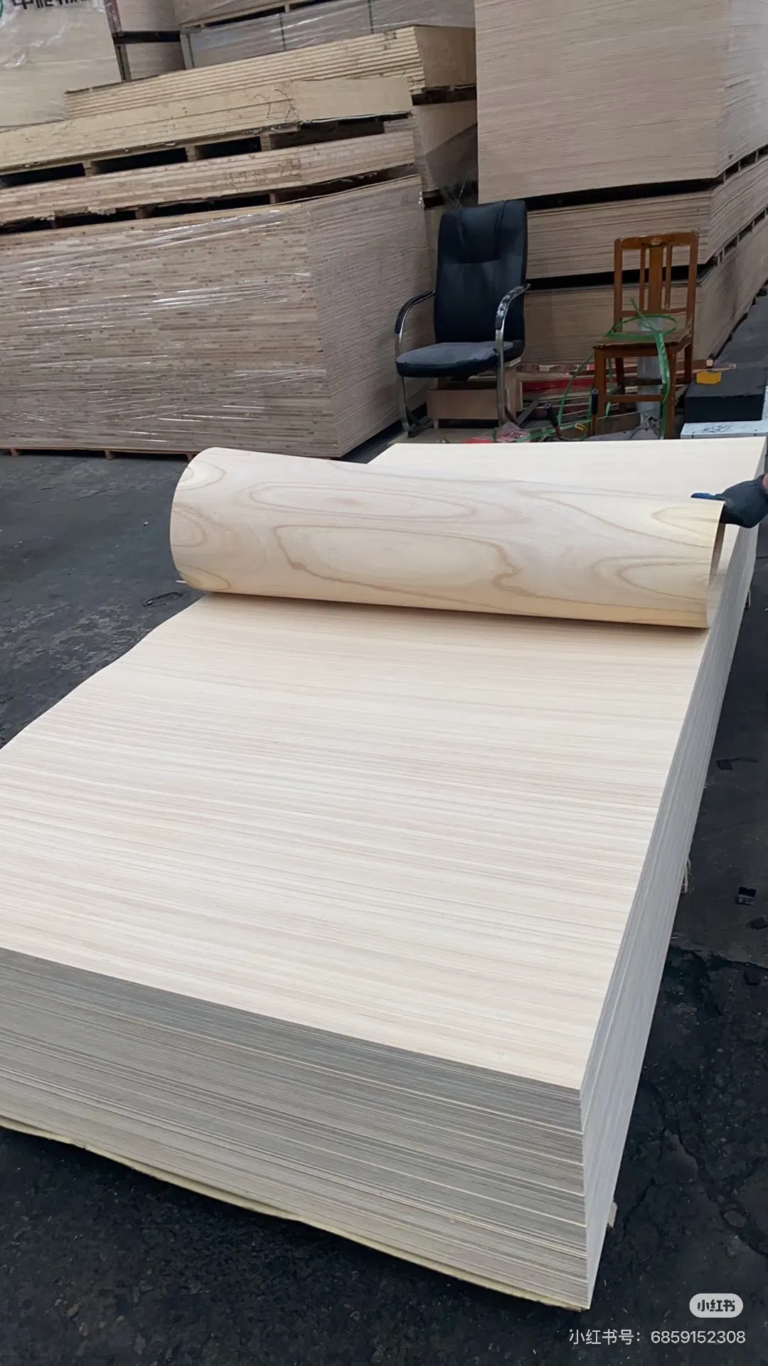 3mm 5mm 8mm 12mm Lightweight Flexible Plywood/ Bending Plywood/Bent Plywood