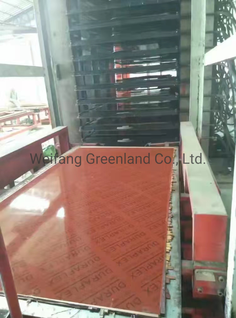 9mm, 12mm, 15mm Phenolic Grade Bamboo Shuttering Plywood for Construction