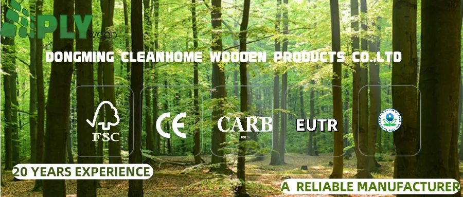 HPL Plywood Overview