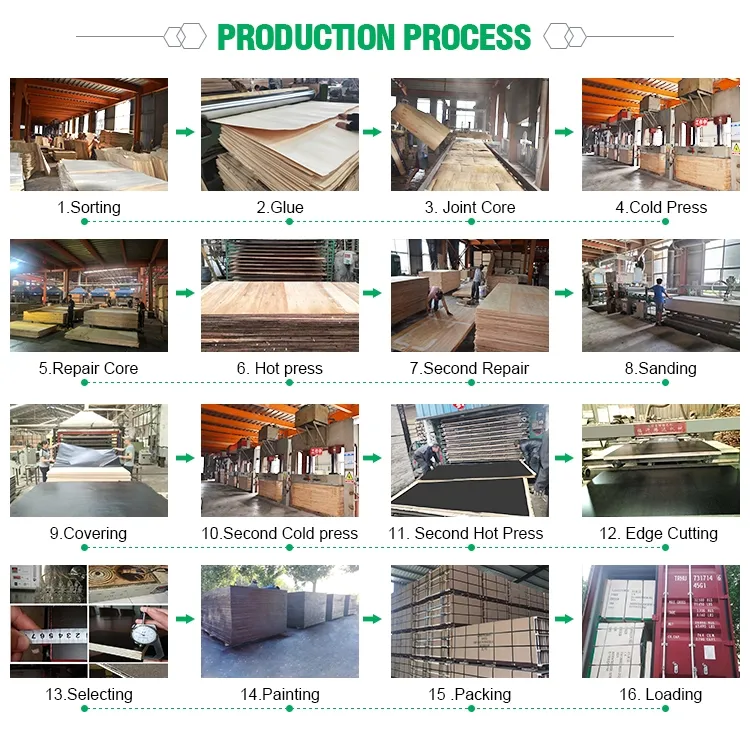 Production Process