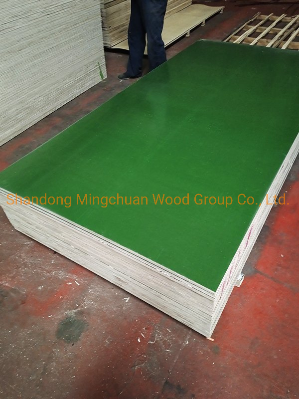 Construction Birch Plywood Marine Plywood 18mm Green PP Film Faced Plywood