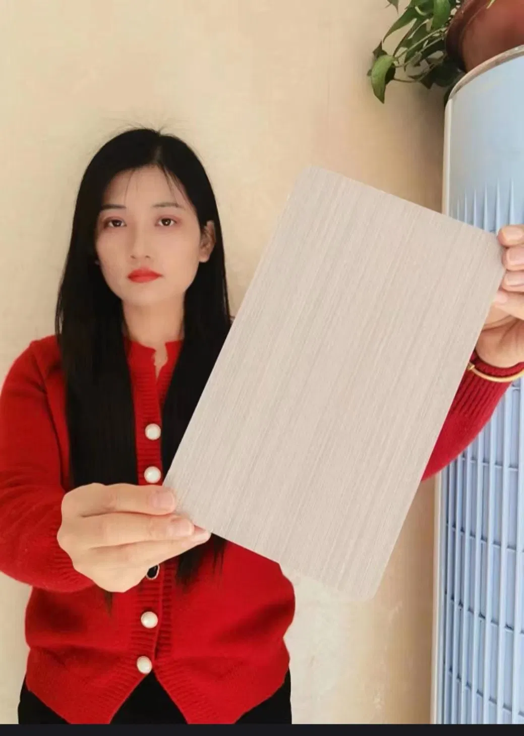 Plywood Board, Commercial Plywood, Holed Panel Plywood, Curved Plywood, Wooden Veneers, Flexible Plywood