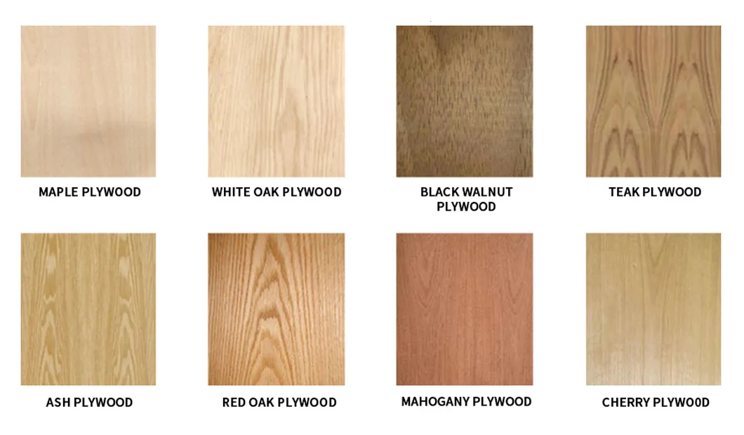 Face and Back Color Options