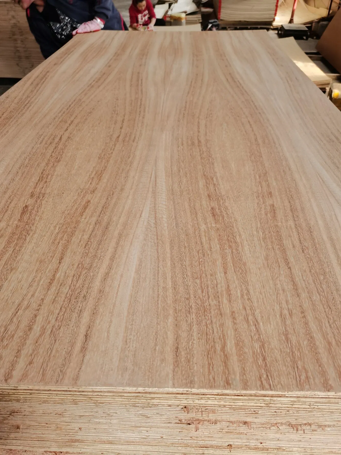Natural Red Oak/Parota/Tzalam and Walnut Veneer Fancy Plywood with Furniture Grade 4.2mm in Mexico