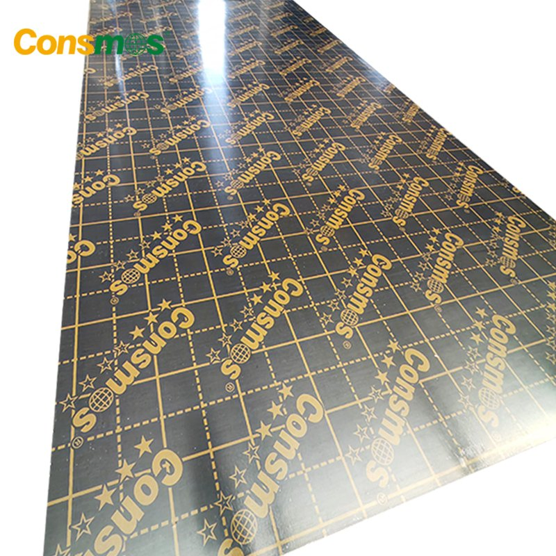 1250X2500mm 12mm 18mm Marine Plywood Film Faced Plywood for Construction