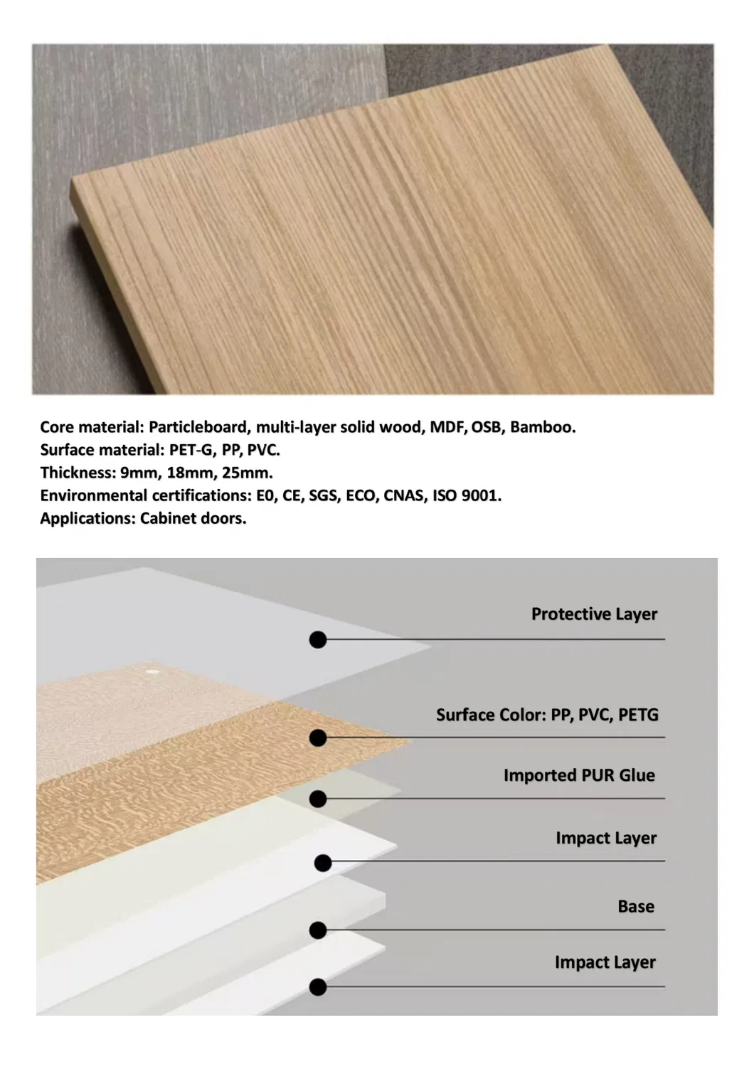 Security Door Detail 1